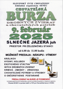 Burza - febr.